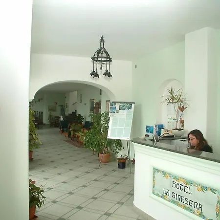 Hotel La Ginestra Forio (Isola d'Ischia)
