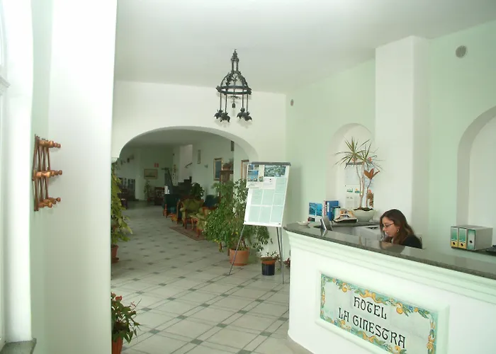 La Ginestra 3*